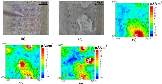 Figure 7. SVET results along 24 h immersion in 0.05 mol L -1  NaCl solution. (a) optical micrograph at the beginning of immersion  depicting grid points; (b) optical micrograph after 24h of immersion; (c), (d) and (e) current density distributions after 1 