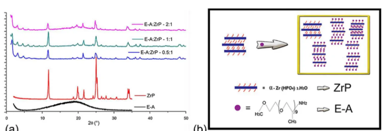 Figure 2. (a) WAXD diffractograms of the ZrP and modified zirconium phosphates, and (b) Schematic representation of the E-A oligomer  insertion into ZrP galleries