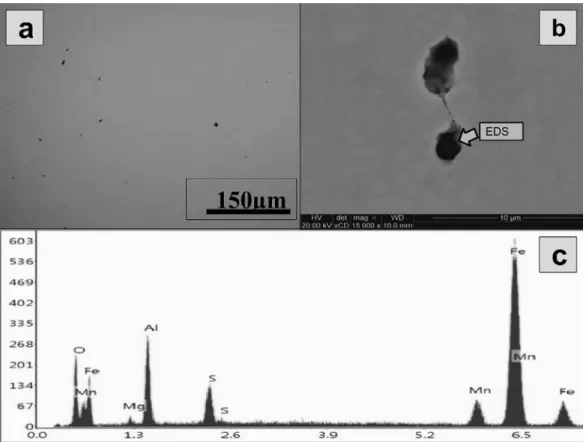 Figure 2. Optical microscopy image of the inclusions distribution in the microstructure of the API 5L X80 steel (a),  representative EDS spectrum of the inclusions (b), and backscattered SEM image of an irregular-shaped inclusion (insert in (a))
