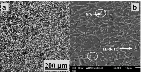 Figure 4. (a) Optical microscopy and (b) SEM (secondary electrons) image of the API 5L X80 steel