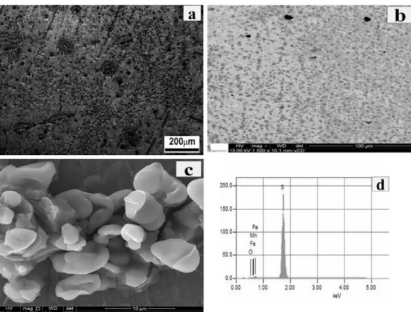 Figure 12. OM (a) and SEM (b) images of the API 5L X65 steel after 24h immersion in deaerated solution A, NACE TM0284  (2011), saturated with H 2 S, sour medium