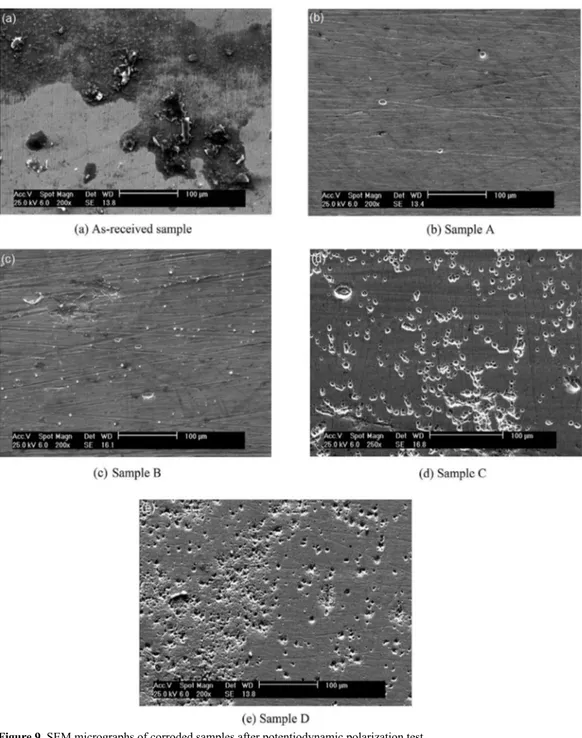 Figure 9. SEM micrographs of corroded samples after potentiodynamic polarization test