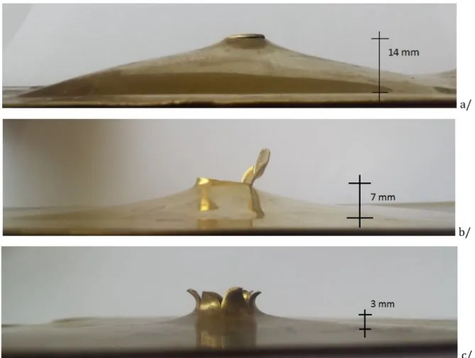 Figure 8: Overal deformation of the active zone of the target plates a/ no perforation using a blunt-shaped projectie, b/ 
