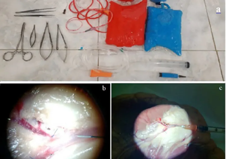 Figure 1. a) instruments for microsurgical training, using a bovine heart model: micro-scissors, fine tweezers, needle holder  for macroscopic suture and in bayonet for microscopic suture, catheters, and syringes