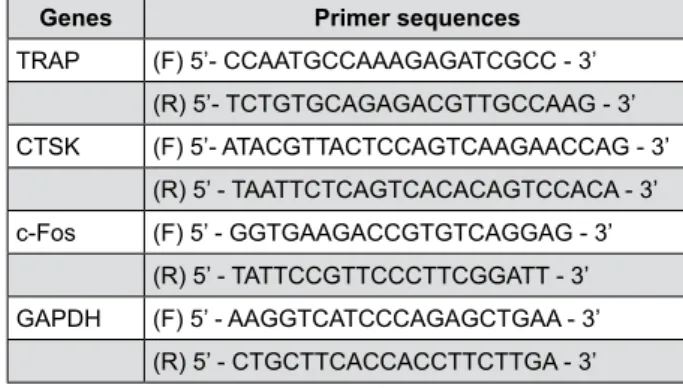 Figure 1-  Primer sequences for qRT-PCR analysis