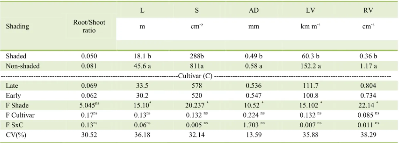 Table 2 - Cotton root characteristics as a function of shading and cultivar (L = root length, S = root surface, AD = mean diameter, LV =  length by volume and RV = root volume)