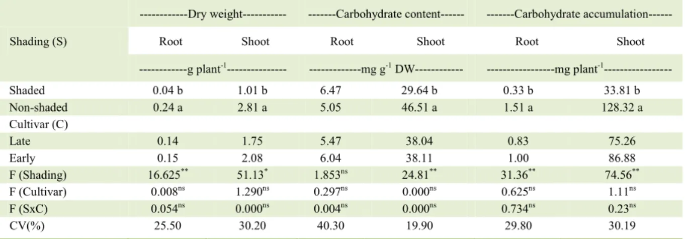 Table 4 - Root and shoot dry weight and carbohydrates partitioning on cotton as a function of shading and cultivar