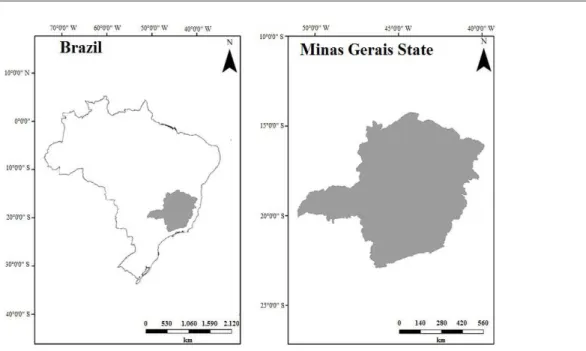 Figure 1: Location of the state of Minas Gerais.