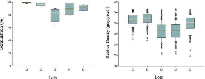 Figure 2: Germination and relative density of five lots of L. leucocephala seeds obtained by means of the ImageJ ®  software.
