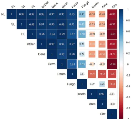 Figure 4: Correlation matrix obtained from data of X-ray images of seeds and seedling characteristics of Leucaena  leucocephala