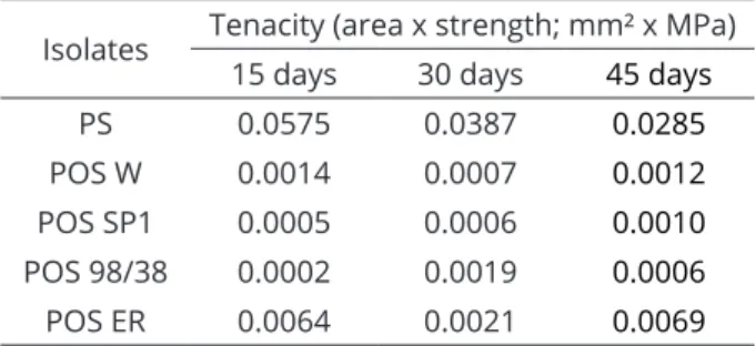 Table 1:  Mean  tenacity  (mm²  x  MPa)  of  the  test  composites from the area of   the compressive strength  versus deformation curve by time the cultive after  complete colonization.