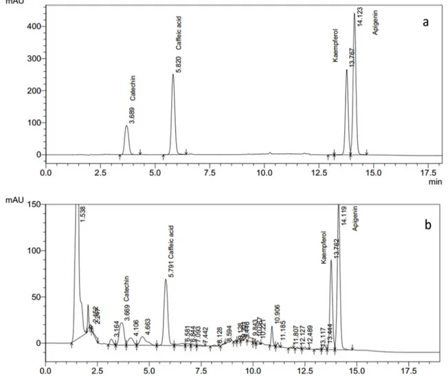 Figure 4: a HPLC chromatogram of standards; b HPLC chromatogram of methanolic extract of date palm cv