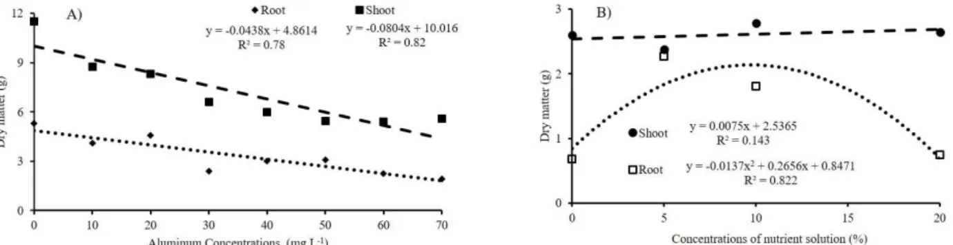 Figure 1: Values of the shoot and root dry matter of the genotype IACSP95-5000 submitted to Al doses (A) and  different concentrations of nutrient solution (B).
