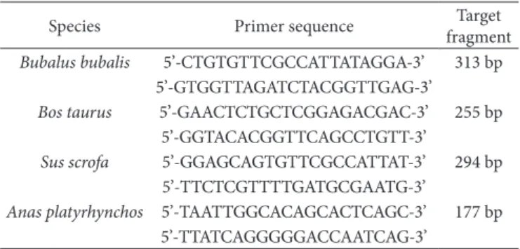 Table 1. Primers for PCR amplification.