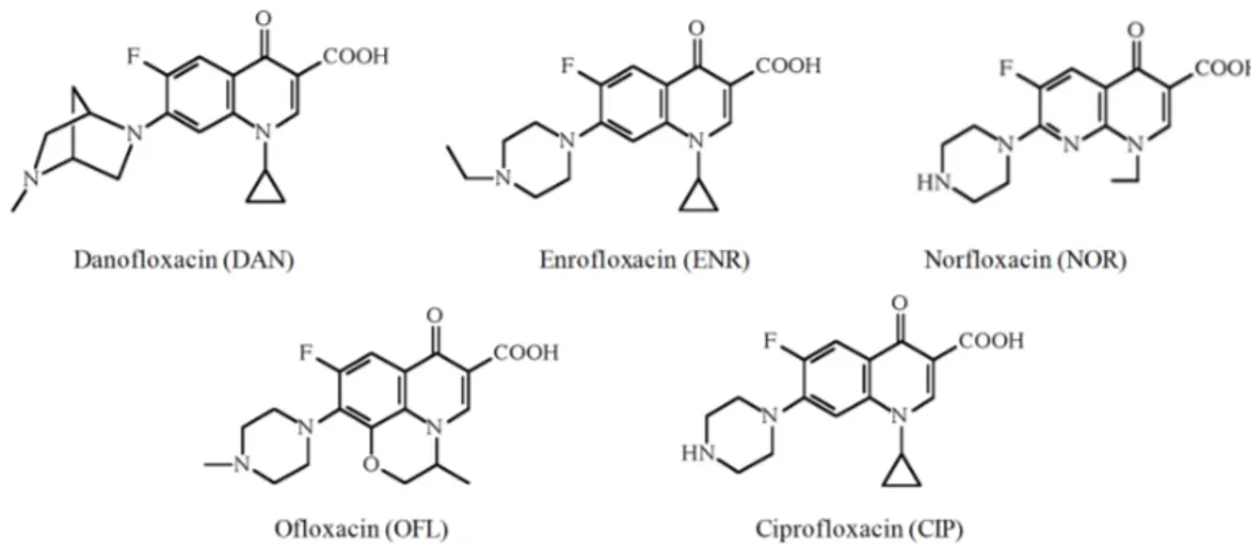 Figure 1. Structures of DAN and related fluoroquinolones evaluated in this study. DAN = danofloxacin.