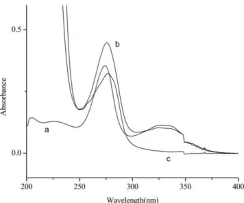 Figure 2. UV scanning spectrums of DAN, BSA and DAN-BSA  conjugate. (a) DAN; (b) DAN-BSA; (c) BSA