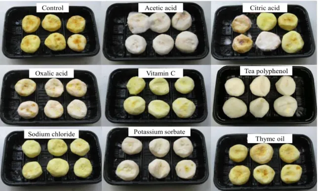 Figure 4. Effects of different anti-browning compounds on the browning and decay of fresh-cut Chinese.