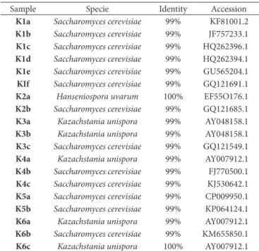 Table 2 shows the yeast species found in kefir samples from  the city of Santa Maria, RS.