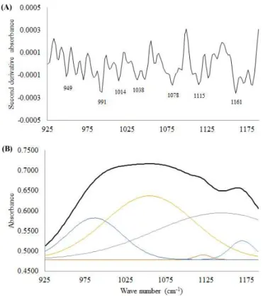 Figure S2. (A) Second derivative of the mean FT-OR spectra of oat (A. sativa L.) β-glucan; (B) Normalized FT-OR average spectra of oat (A. sativa L.)  β-glucan.
