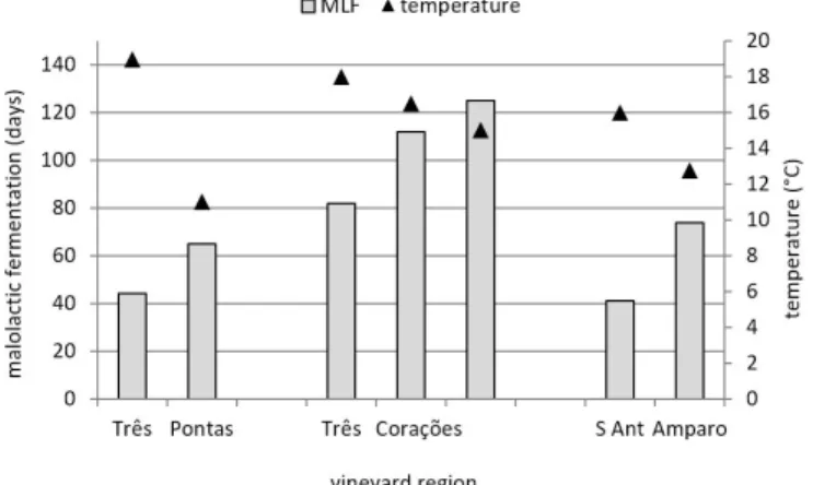 Figure 2. Lengths of MLF (days from running off to the complete  degradation of malic acid) and alcoholic-fermentation temperatures  of Syrah wines from Três Pontas, Três Corações and Santo Antônio do  Amparo in the south of Minas Gerais State, Brazil, tha