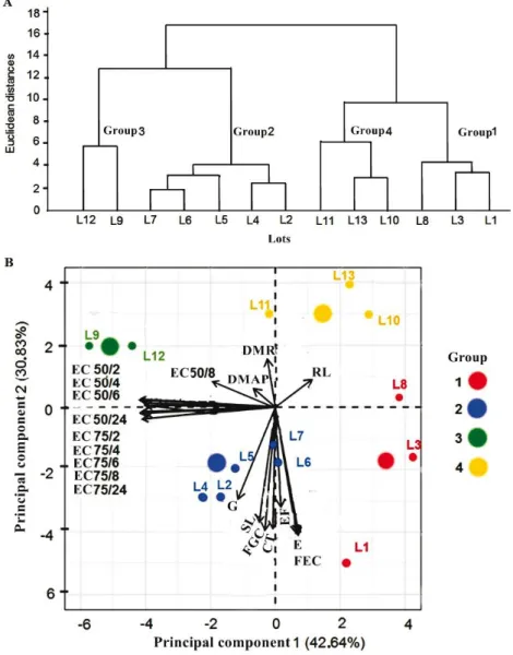 Figure 1 - Dendrogram resulting from hierarchical grouping analysis with the formation of groups (A) and dispersion of eigenvectors along a circle plane, and group formation (B) obtained by principal component analysis according to the seedling emergence i