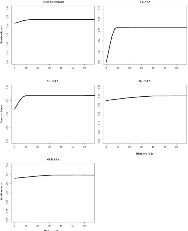 Figure 3. Spherical isotropic semivariogram model adjusted for the incidence of bacterial blight (Pseudomonas syringae pv garcae) in coffee tree  seedlings (Coffea arabica) in the nursery over time