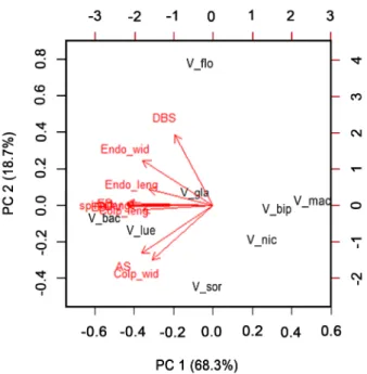 Figure 3.  Analysis of principal components composed of metric  variables of pollen from Verbesina L