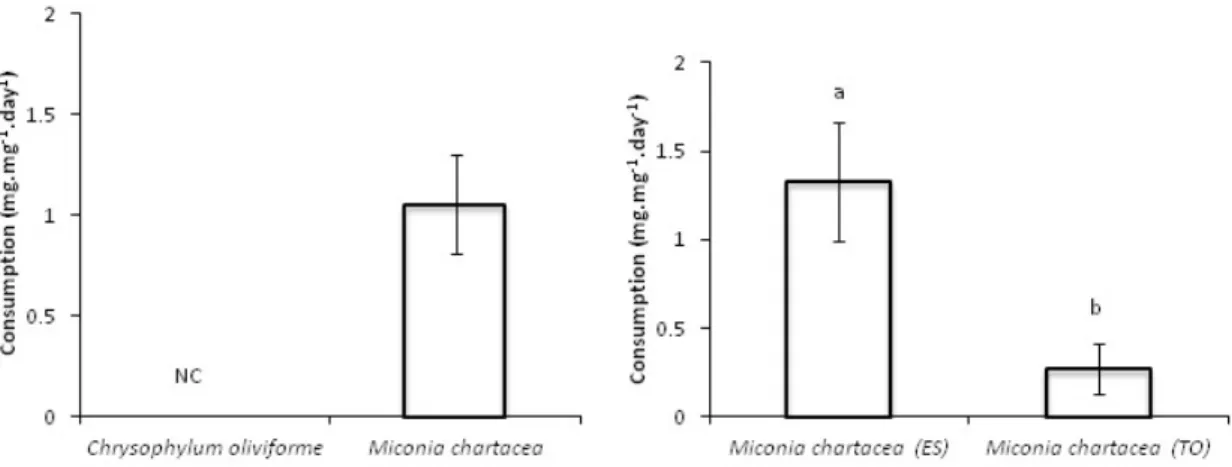 Figure 2. Feeding preference of Phylloicus sp. for leaves of Miconia  chartacea and Chrysophylum oliviforme when  conditioned in stream waters of Cerrado and Mata Atlantica biomes