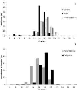 Figure 3. Size frequency of Plesionika narval caught in Madeira archipelago, Northeastern Atlantic, between 2004 and 2008  per CL class and depth stratum (A) and per CL class and season (B).
