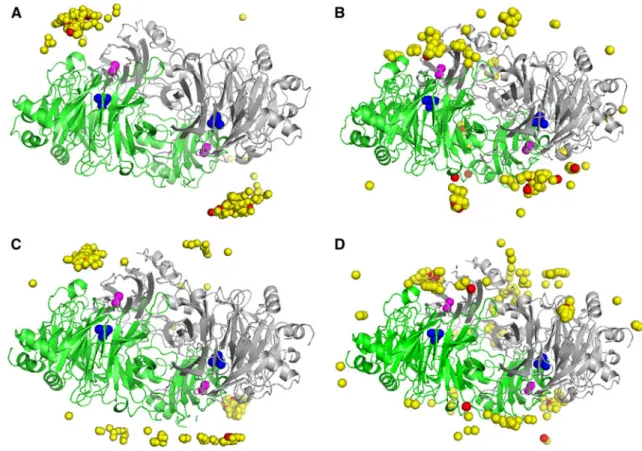Fig. 4 The electron transfer complexes between N 2 OR and its physiological electron donors