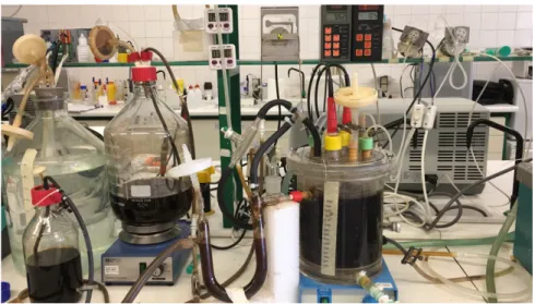Figure 2.1: Anaerobic fermentation, bio-oil with mineral medium, feed pump,  redOx  and pH electrode.