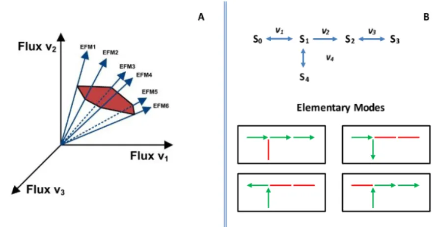 Figure 3.1: Illustration of the concept of Elementary Modes: (A) Representation of the ﬂux cone as a subspace of the stoichiometric matrix null space