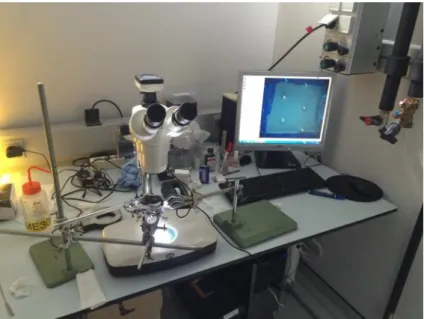 Figure 2.18: Motic microscope and the used setup for the observations.