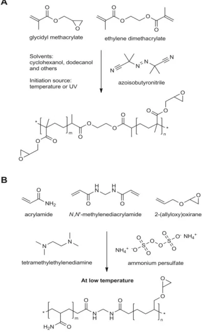 Figure  1.2  -  Preparation  of  GMA-EDMA  monoliths  (A)  and  of  AA-AGE  cryogels  (B)  and  their  chemical  structures.