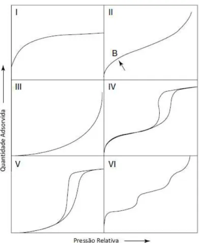 Figura 6: Tipos de isotérmicas de equilíbrio de adsorção. Adaptado de [14] 