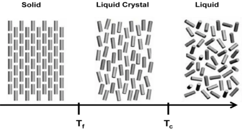 Figure 1.1 - The different states of matter according to the temperature  [1]
