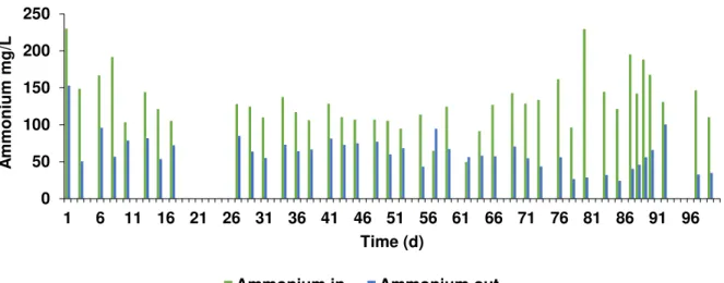 Figure 3.6- Phosphorus concentration in the influent (in) and inside the reactor (out) of acidogenic phase with apple  pulp waste during the operational time