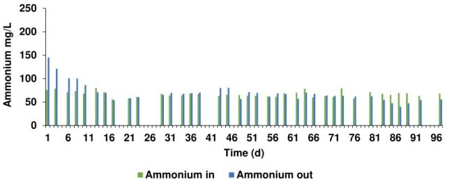 Figure 3.11- Ammonium concentration in the influent (in) and inside the reactor (out) of methanogenic phase with  apple pulp waste during the operational time