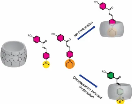 Figure 1.14  –  Inclusion complexes formed between TCDMA and TCDEA with CB[7].  