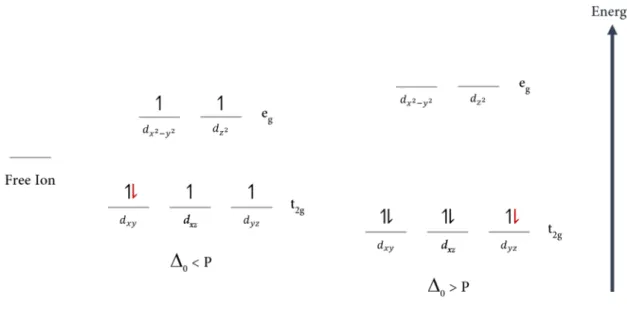 Figure 1.6   Spin-states of octahedral Fe(I I I ) and Fe(I I )   The free iron ion has five 3d-orbitals of  the same energy