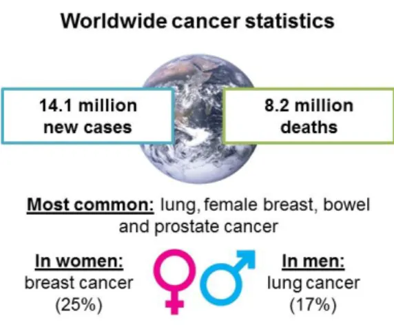 Figure 1.1 – Worldwide cancer statistics: number of new cases and deaths in 2012. Most common cancers  (general), and top cancers affecting woman and men