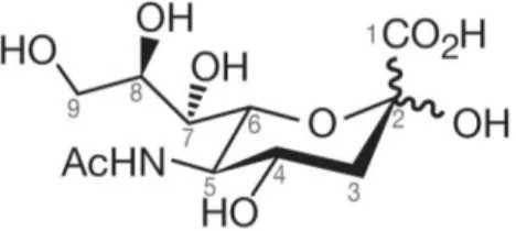 Figure 1.4 – Structure of N-acetylneuraminic acid (Neu5Ac) [19]. 