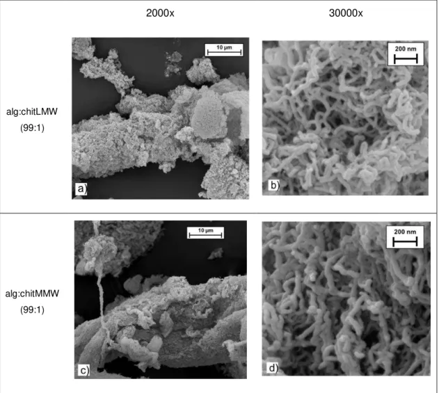 Figure 3.2 - SEM micrographs of  alg:chitLMW 99:1 (a,b) and alg:chitMMW 99:1 (c,d) aerogel fibres, at  2000x (a,c) and 30000x (b,d) magnification