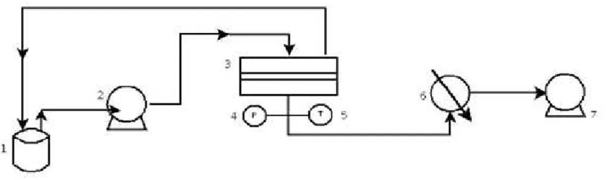 Fig. 3.1: Pervaporation (PV) experimental set-up: 1 – closed stirred feed vessel; 2 – recirculation pump; 3 –  flat circular pervaporation module; 4 – pressure transducer; 5 – temperature sensor; 6 – condenser with  liquid nitrogen; and 7 – vacuum pump