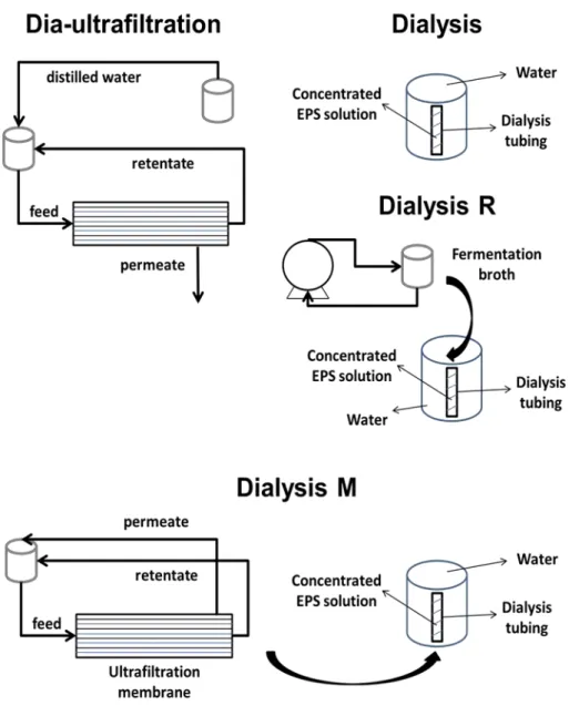 Fig. 4.1: Scheme of the four purification methods used in rheological characterisation.