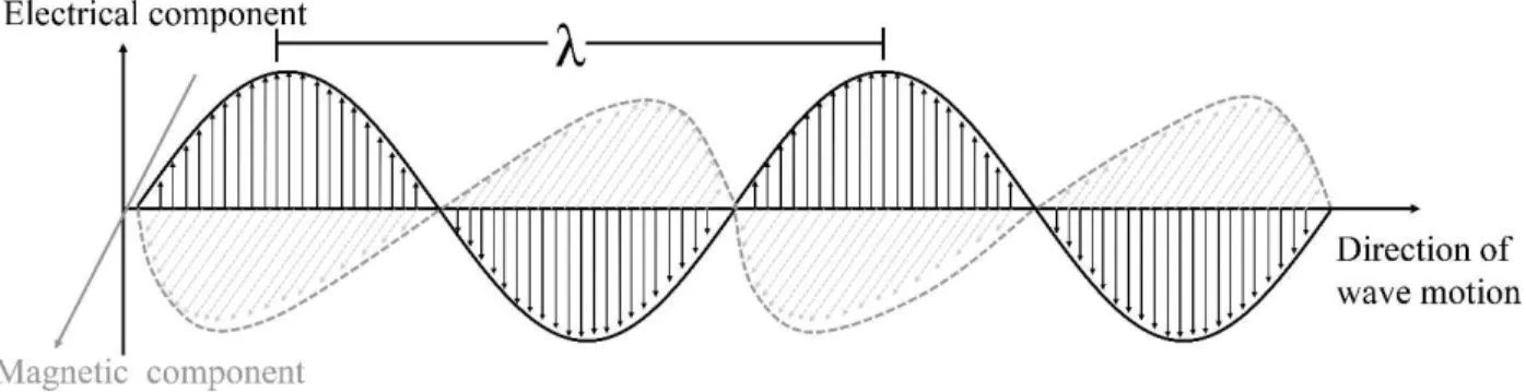 Figure 1. Representation of a monochromatic, plane polarized electromagnetic wave.  Black arrows represent  the electrical vector (electric component) and the gray arrows represent the magnetic vectors (magnetic component).