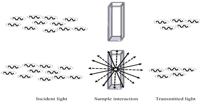 Figure 1.1. Schematic representation of the possible ways non-ionizing electromagnetic radiation interacts  with  matter