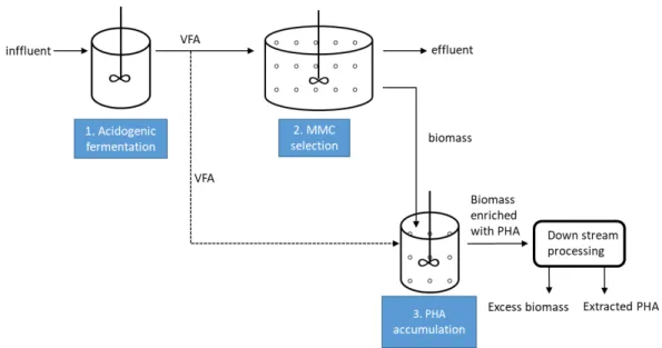 Figure 2-3 3-stage process for PHA production by MMCs 