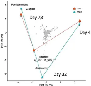 Figure 3-3 PCA results of microbial communities selected in SBR1 and SBR2