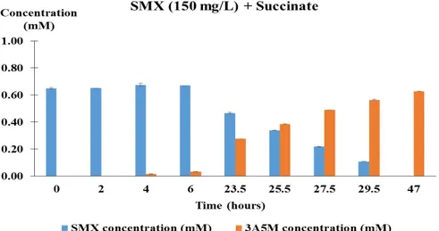 Figure  2.2.  Accumulation  of  3-amino-5-methylisoxazole  during  degradation  of  SMX  by  A